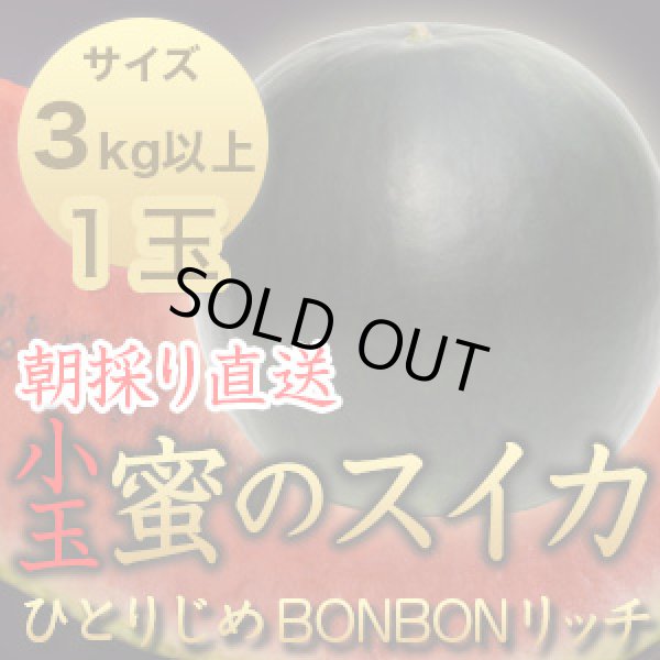 画像1: 信州産 朝取り直送 黒スイカ 小玉《ひとりじめBONBONリッチ》３kg以上サイズ【１玉】 (1)